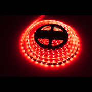 LED Strip Light - 24v 9.6w RGBW Per Metre - Lighting Superstore